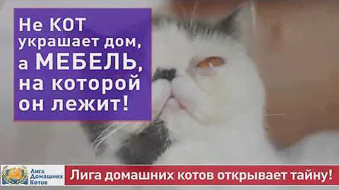 Мебельный центр Уют - Хорошее место где очень много по настоящему хорошей мебели